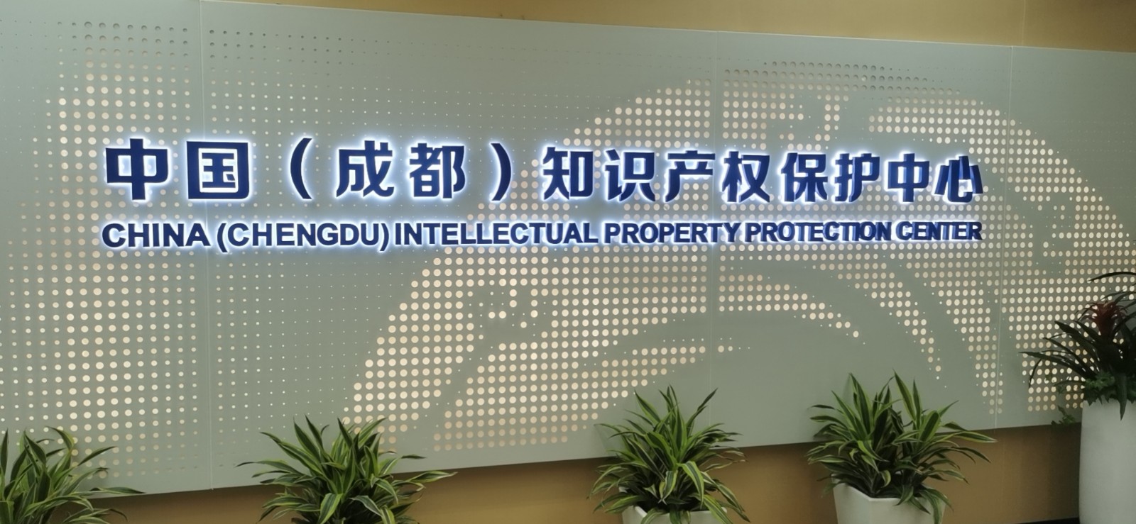 1656062259846219.jpg